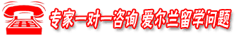 免费咨询爱尔兰留学问题
