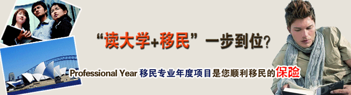������ѧ+����һ����λ��Professional Year ����רҵ�����Ŀ����˳������ı���